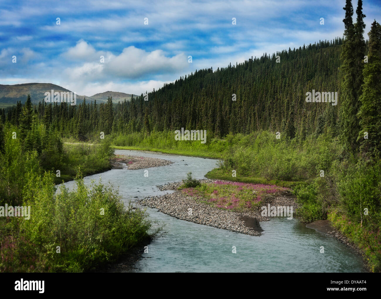 Alaska Landscape In Denali National Park Stock Photo