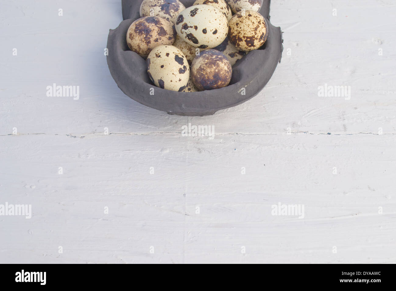 Quail eggs are small and colourful. They can be eaten raw or  cooked. The Quail eggs are in a carton. Stock Photo