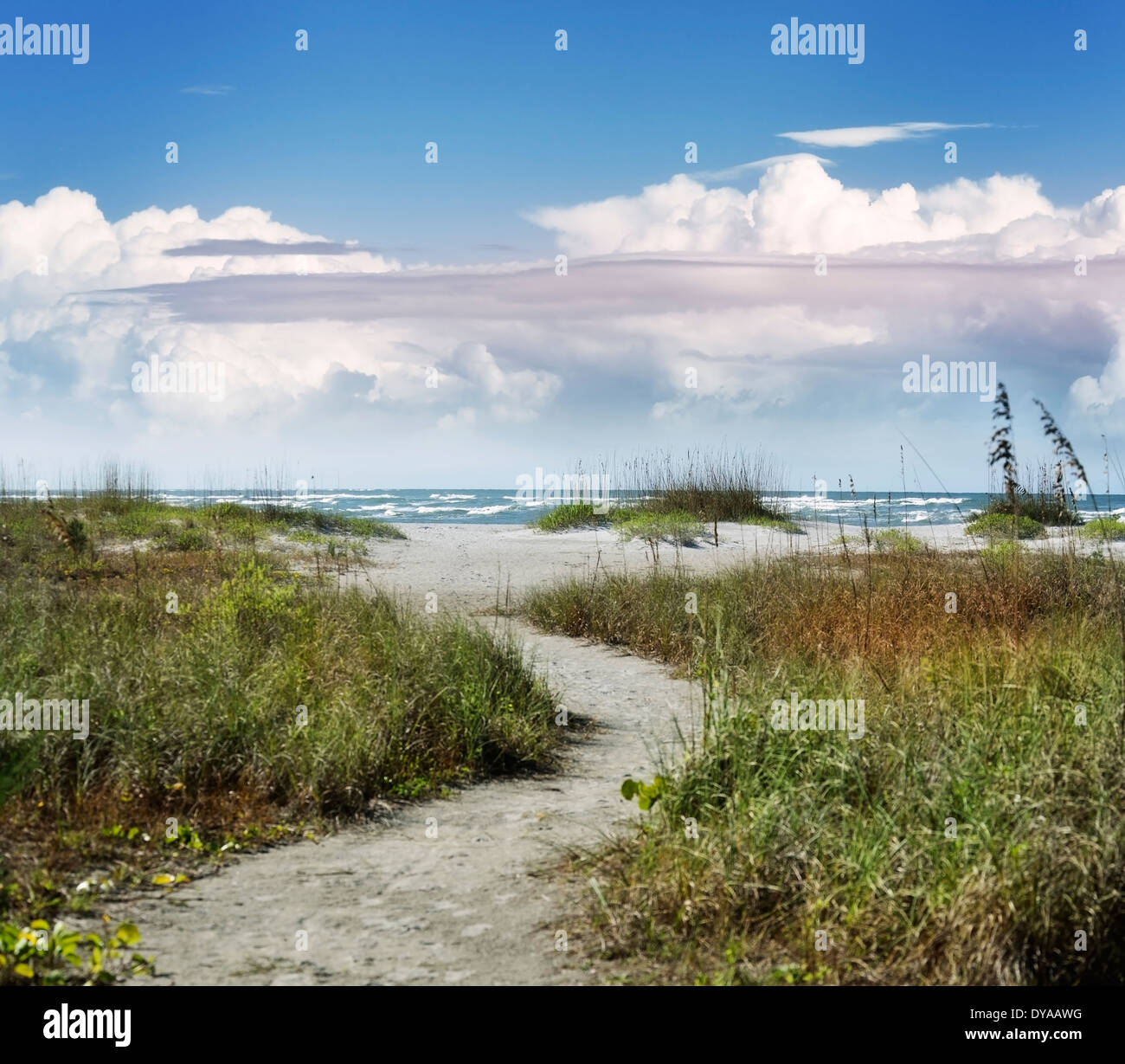 Sandy Path To The Beach Stock Photo