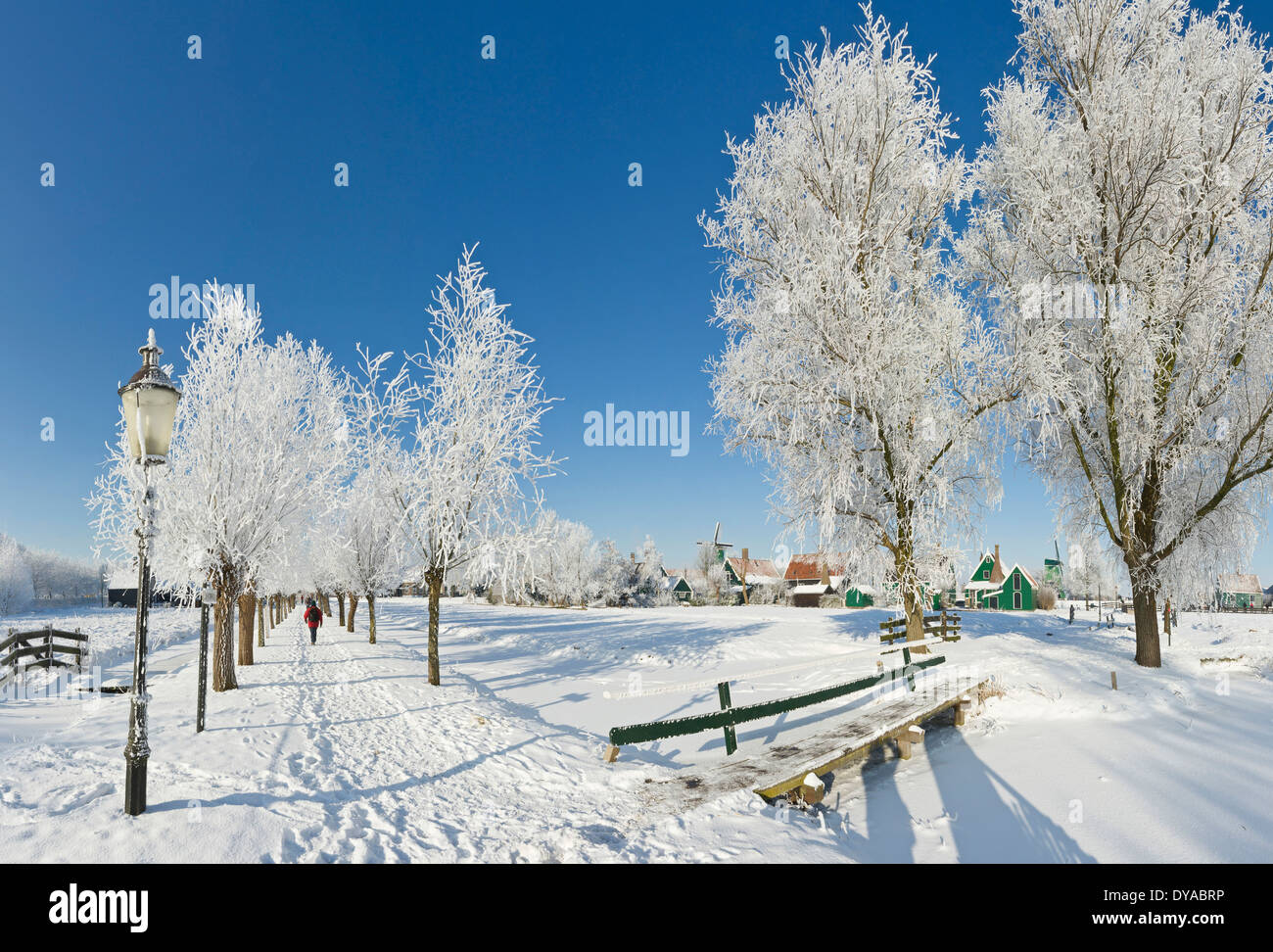 Netherlands Holland Europe Zaandam North Holland city village field meadow trees winter snow ice people frost Open air mus Stock Photo