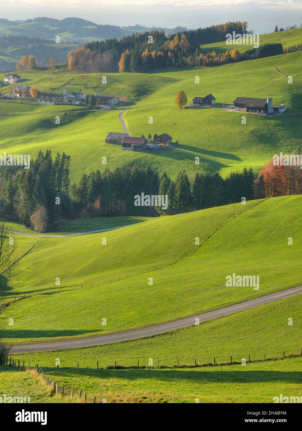 Appenzell, Switzerland, Europe, farms, hills, scenery, landscape, street, meadows, agriculture Stock Photo