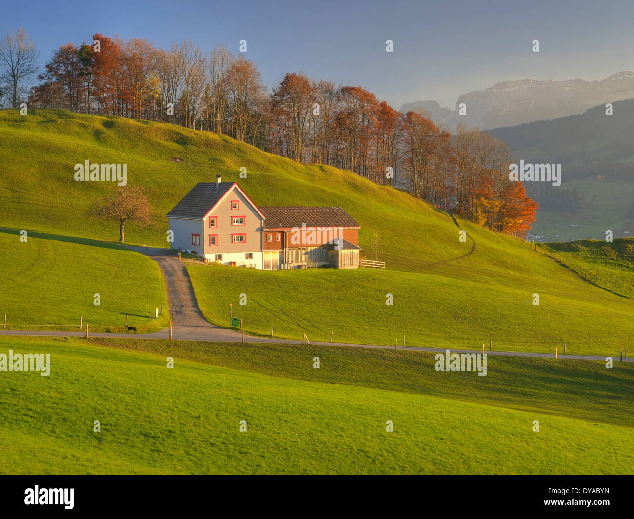 Appenzell, Switzerland, Europe, farm, mountains, green, autumn, hill, scenery, landscape, meadows, agriculture Stock Photo