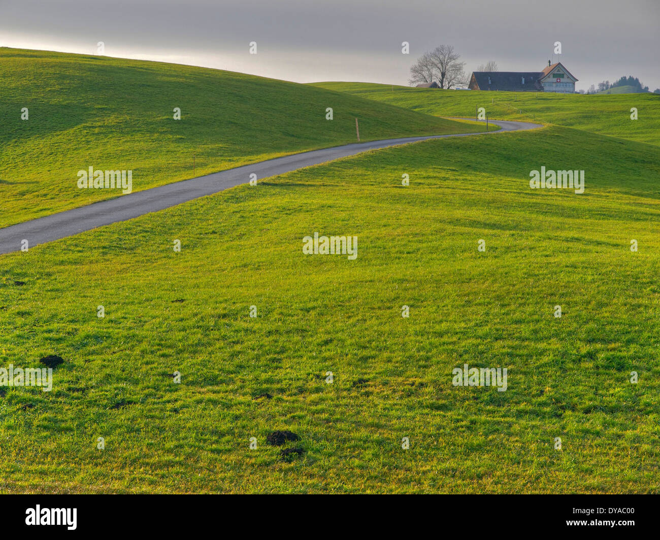 Appenzell, Switzerland, Europe, farm, country lane, gonten, autumn, scenery, landscape, meadows, agriculture Stock Photo