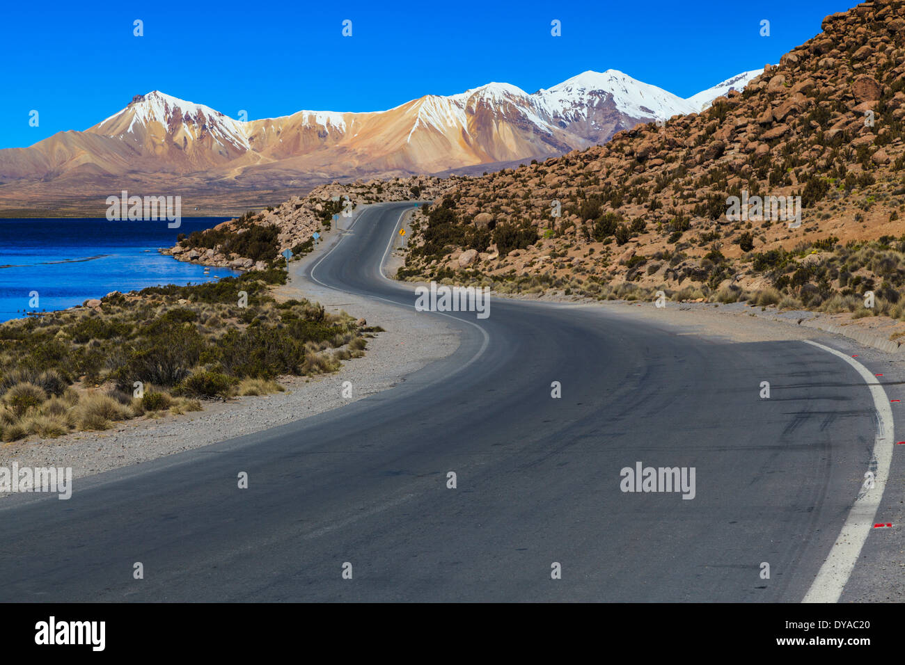 Winding road in Lauca National Park, North Chile Stock Photo
