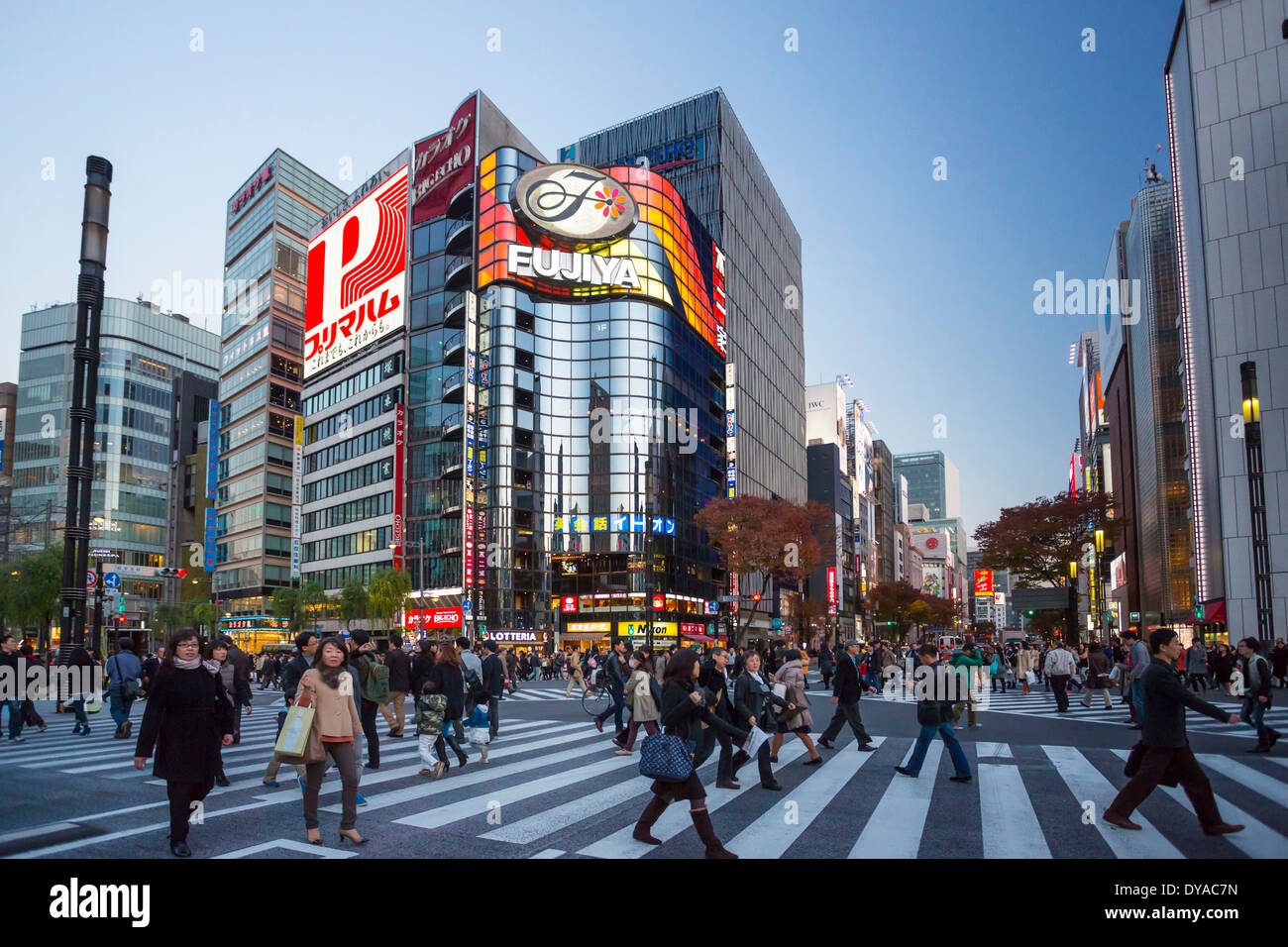 Japan, Asia, Tokyo, City, Harumi Dori, crossing, district, landmark, Ginza, lights, pedestrians, shopping, evening, night, Stock Photo
