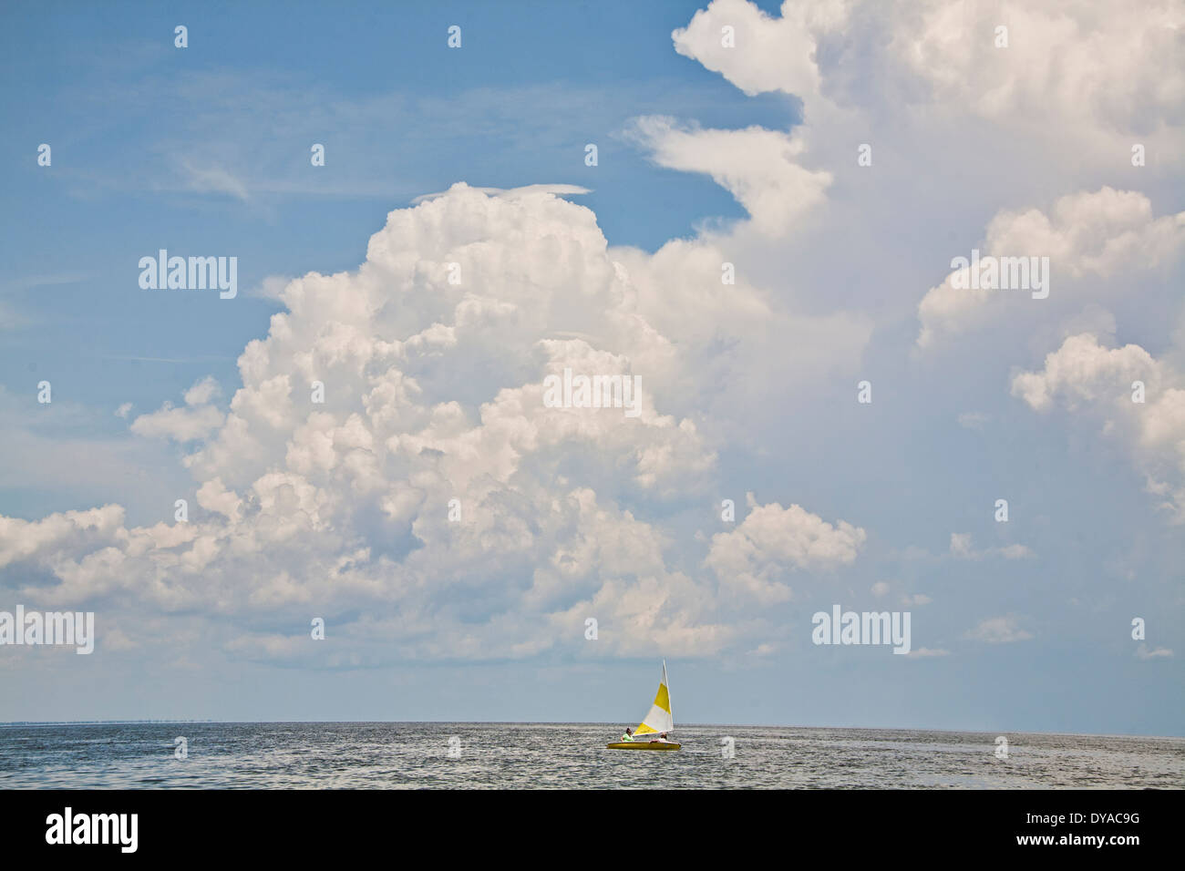 Small Sailboat Sailing in Florida on the Gulf of Mexico with big fluffy clouds above the horizon Stock Photo
