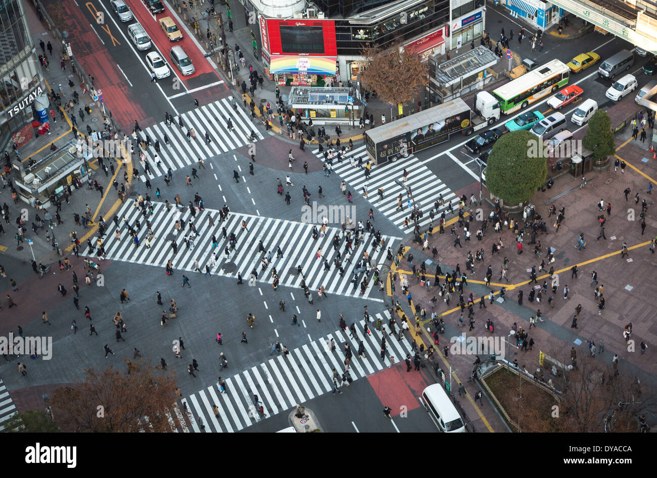 Japan, Asia, Tokyo, City, Hachiko, Shibuya, city, crossing, crowd, pedestrian, station, west side, traffic Stock Photo