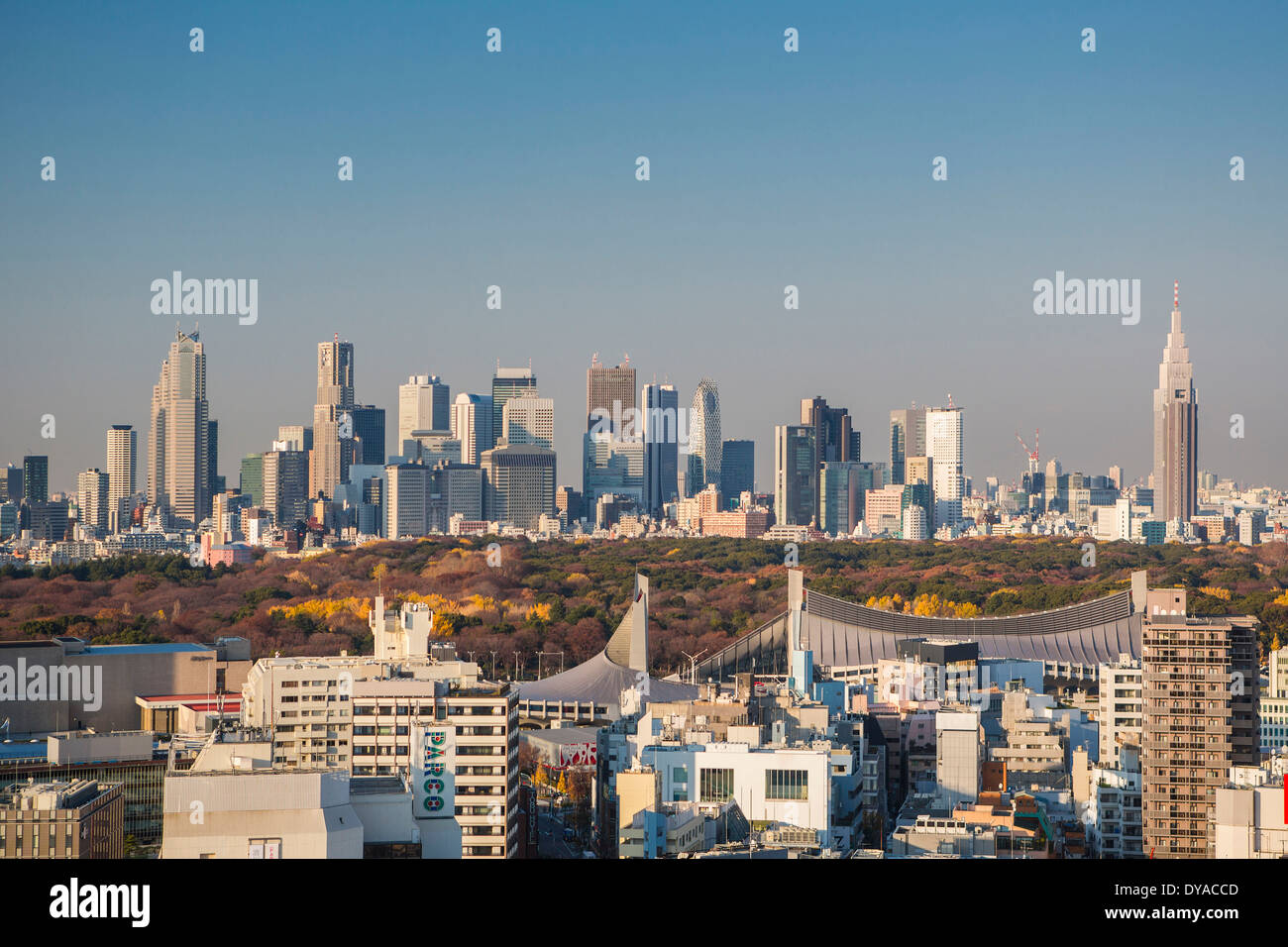 Japan, Asia, Tokyo, City, Autumn, Meiji Jingu, Olympic, park, Shinjuku, skyline, stadium, touristic, travel Stock Photo