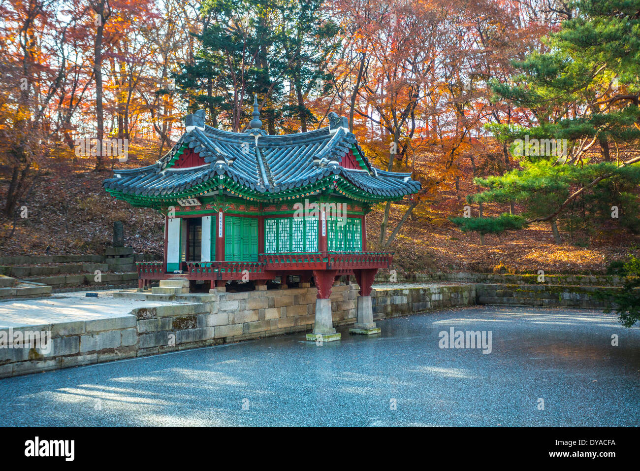 World Heritage Autumn Changdeokgung Korea Asia Secret Garden Seoul architecture city cold garden ice palace pavilion pond t Stock Photo