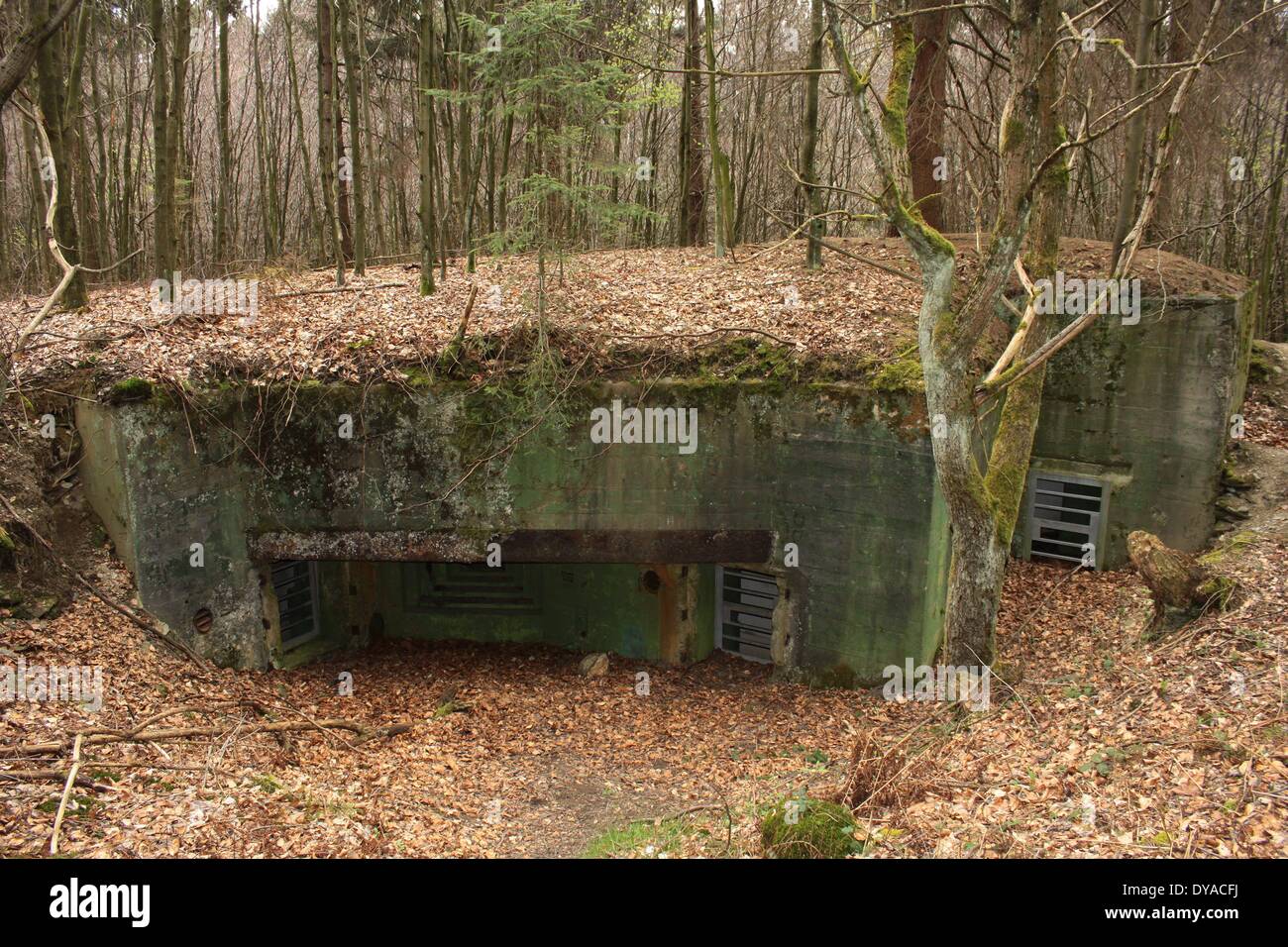 The Westwall Bunkerwith Gasdoors am machine gun slot Eifel Forest Hürtgenwald Stock Photo