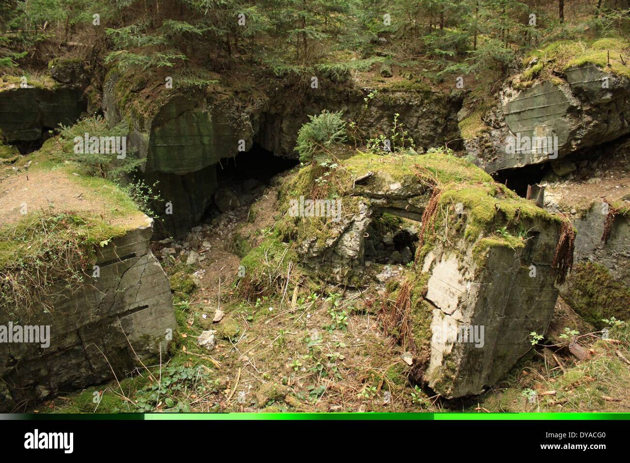 A destroyed Bunker in the Westwall line in Hürtgenwald Forest Eifel Stock Photo