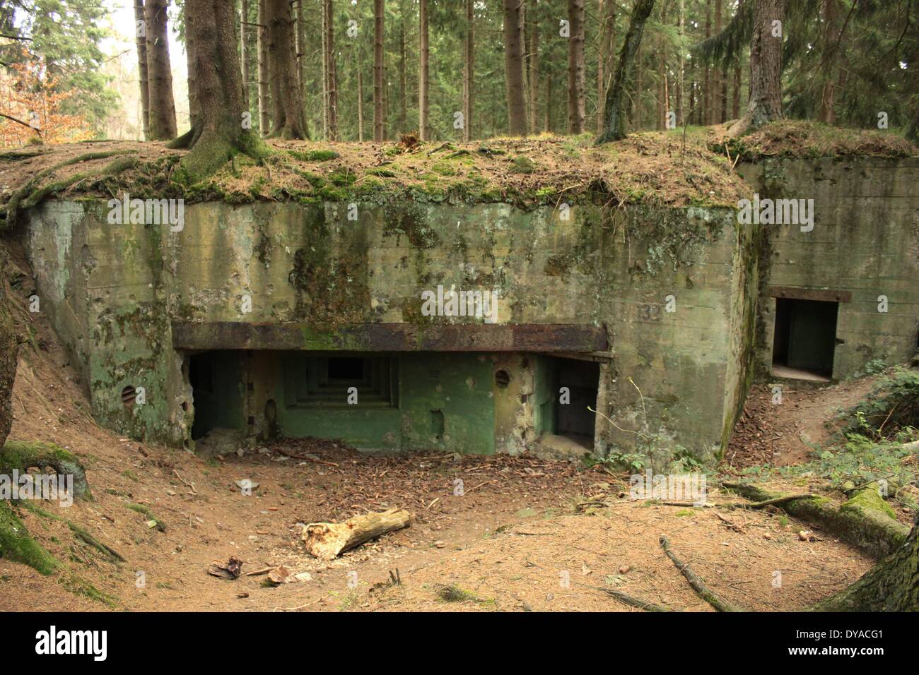 Bunker 132 in the Westwall Eifel Forest Hürtgenwald Stock Photo