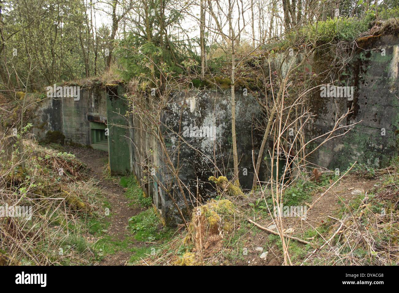 The Westwall Bunker 139-40 inside range - Eifel forest Hürtgenwald Stock Photo