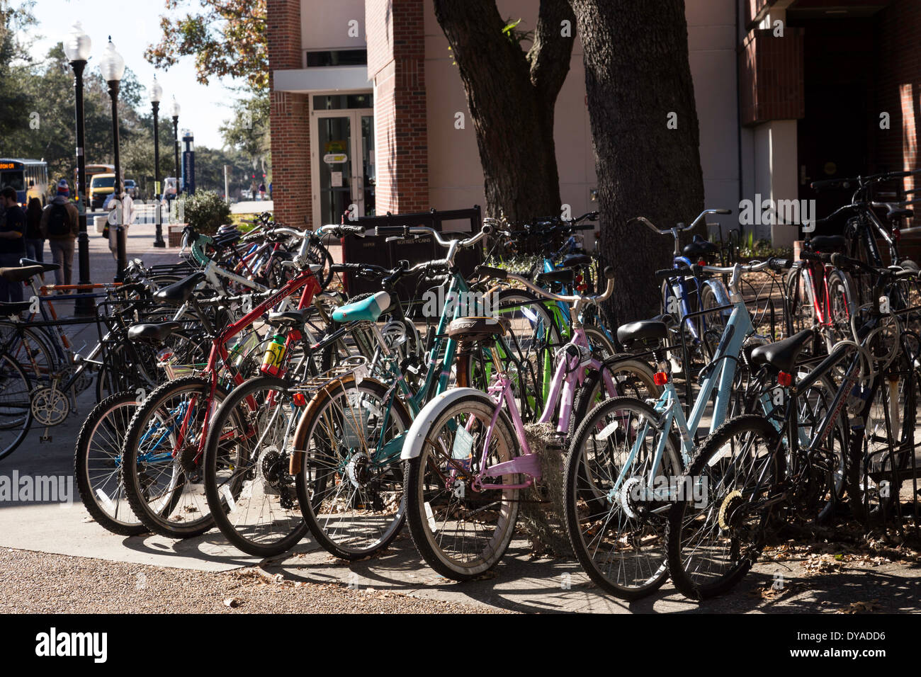 Student Bike Rack, University of Florida, Gainesville, FL, USA Stock