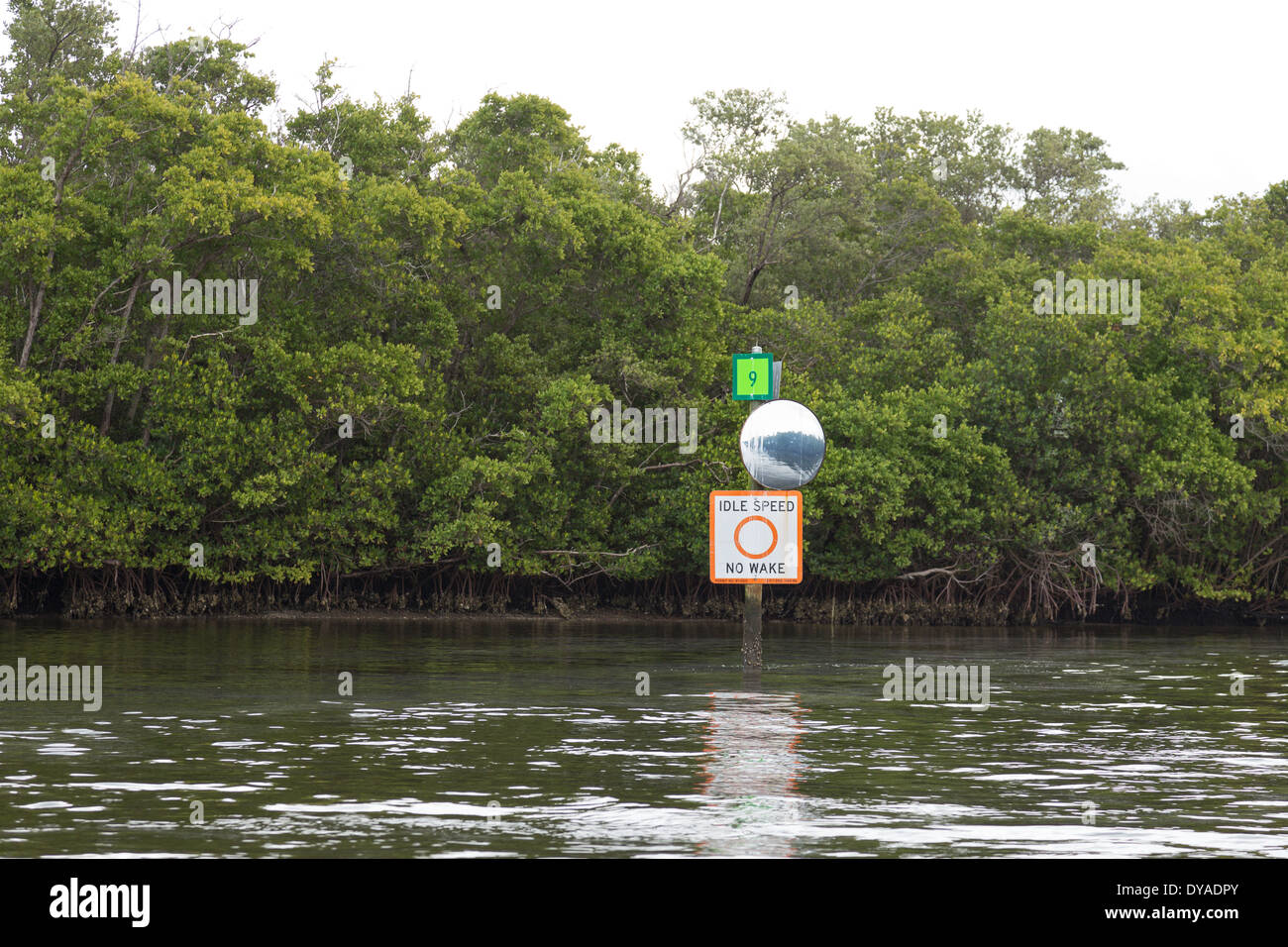 Channel Marker Near Mangrove Stand, Charlotte Bay, FL USA Stock Photo Alamy