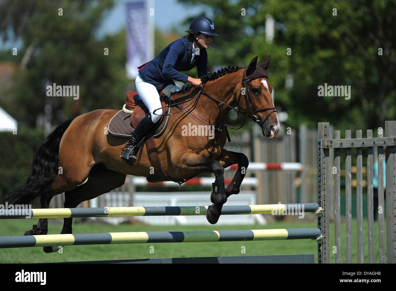 A Rider competes on her horse during a show jumping competition Stock ...