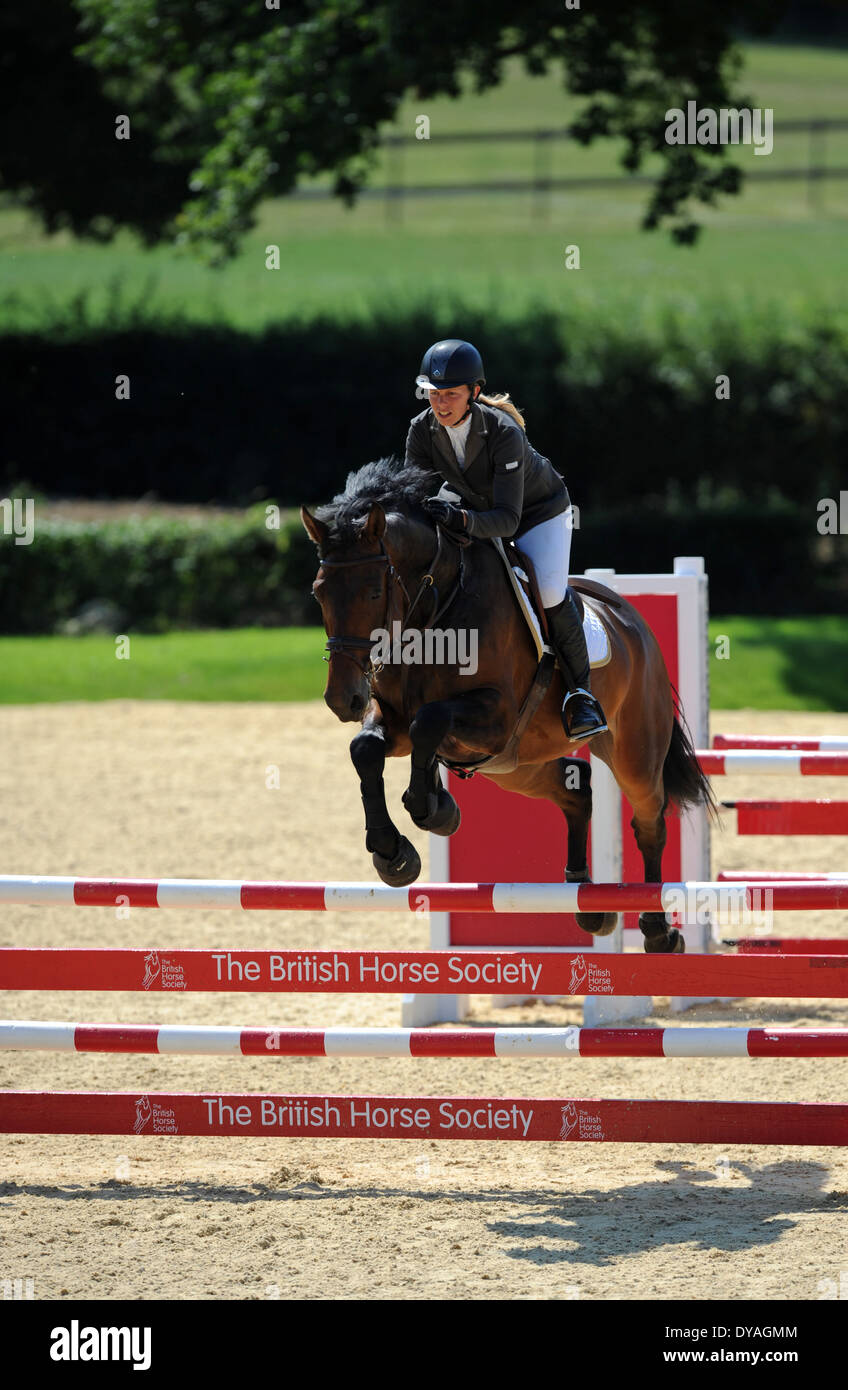 A Rider competes on her horse during a show jumping competition Stock Photo Alamy