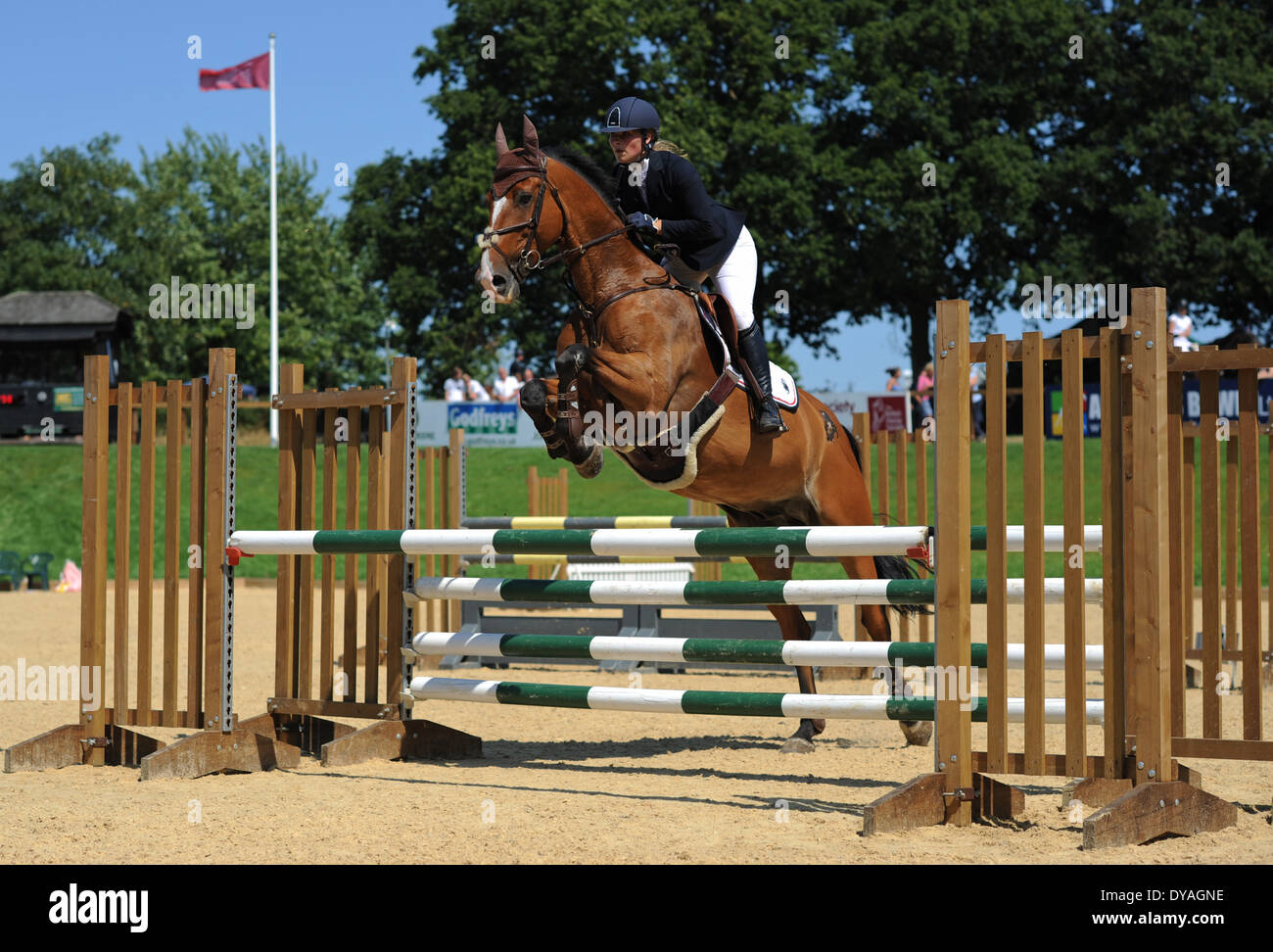 Horse rider jumps fence during hi-res stock photography and images - Alamy