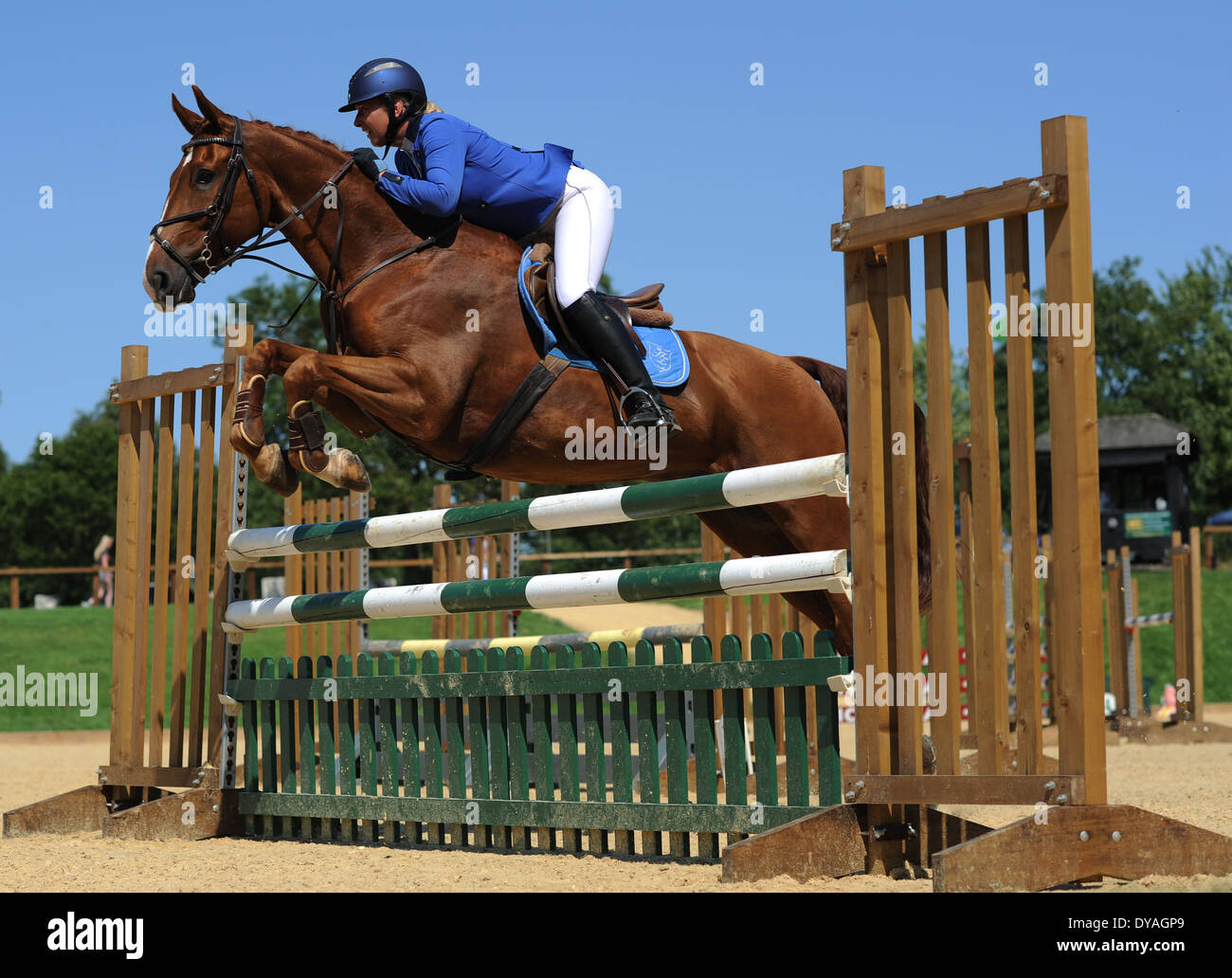 A Rider competes on her horse during a show jumping competition Stock ...