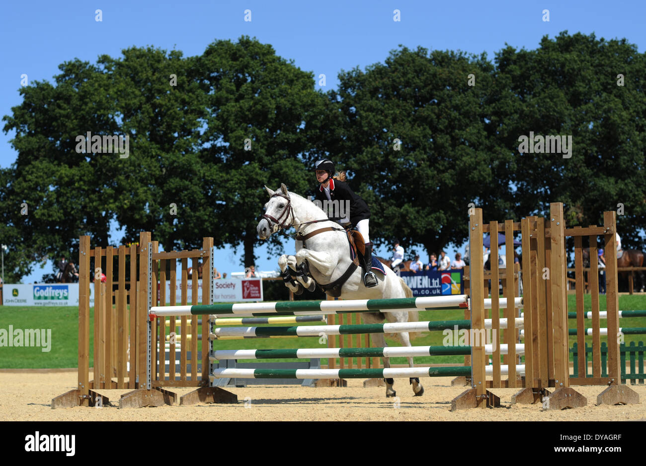 Horse rider jumps fence during hi-res stock photography and images - Alamy