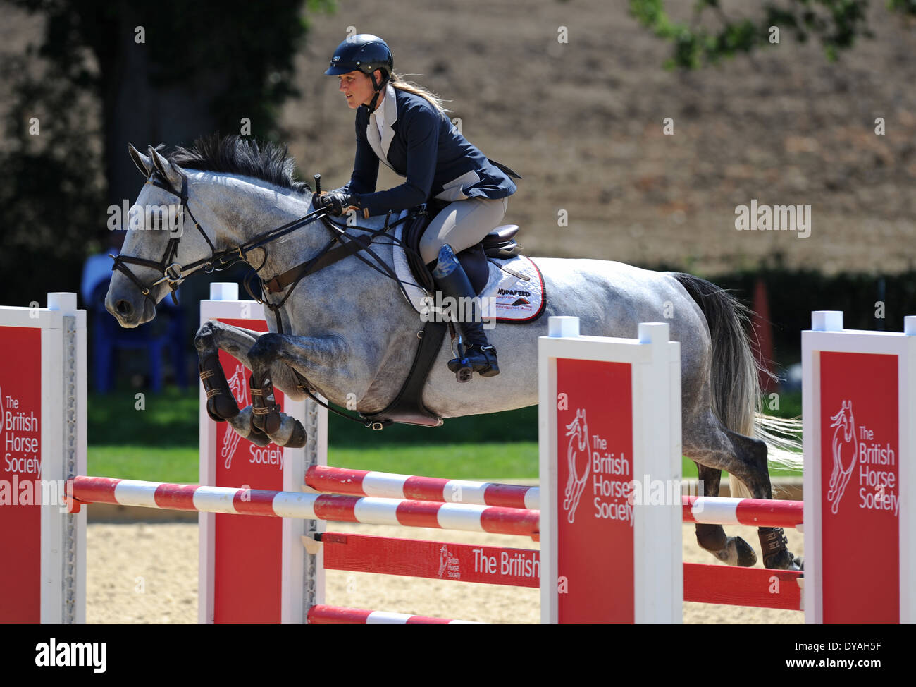 A Rider competes on her horse during a show jumping competition Stock ...