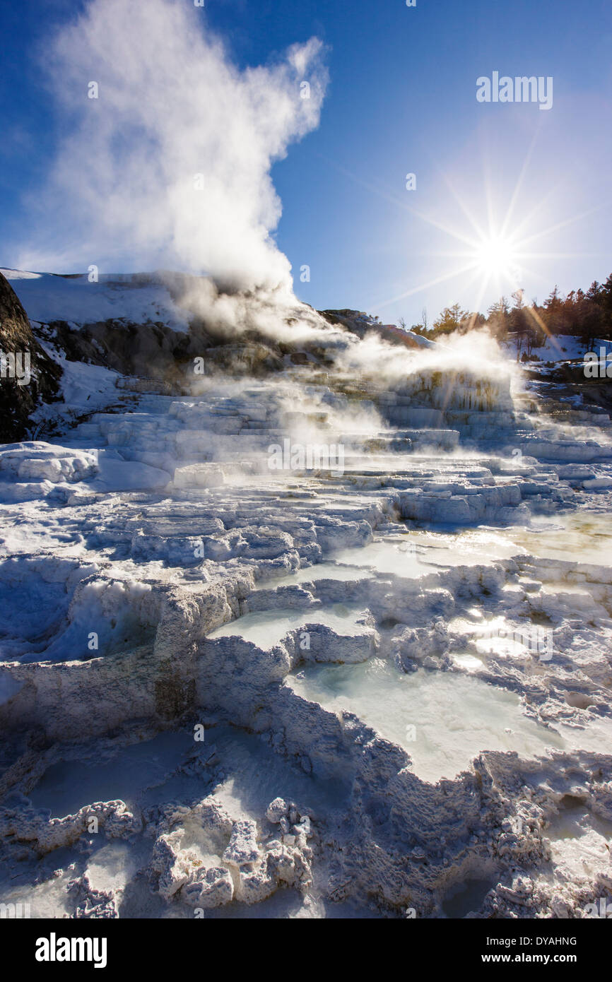 Palette Spring, Mammoth Hot Springs, Yellowstone National Park, USA Stock Photo