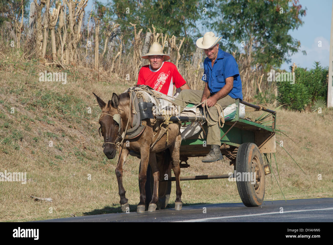 Two men on horse drawn cart Sancti Spiritus Province Cuba Stock Photo