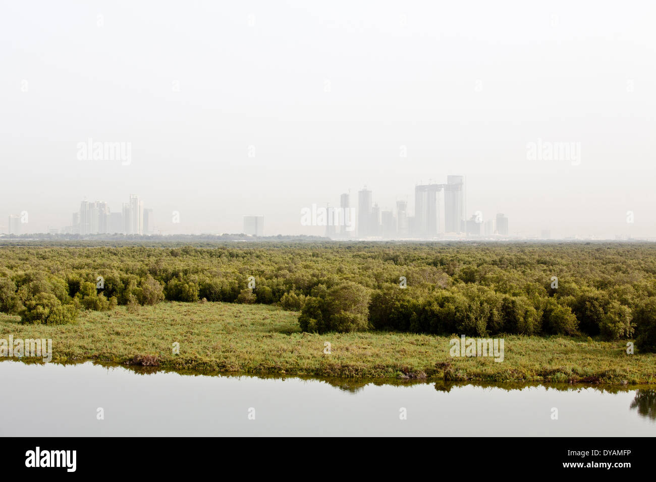 Apartment building development on Reem Island, beyond a mangrove lined shore of Abu Dhabi. Stock Photo