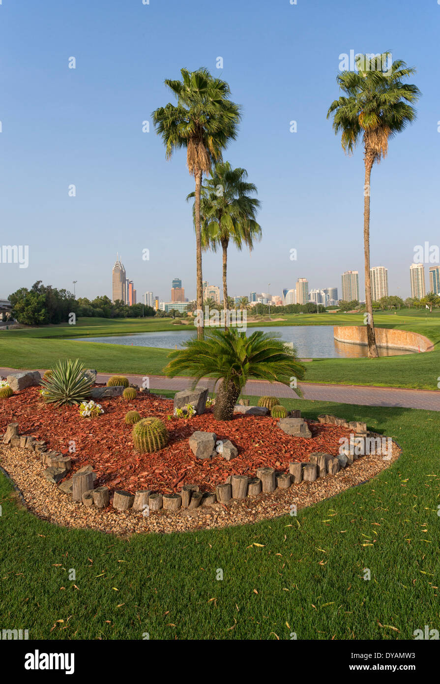 Image of Palm Trees at Emirates Golf Club in Dubai, UAE Stock Photo