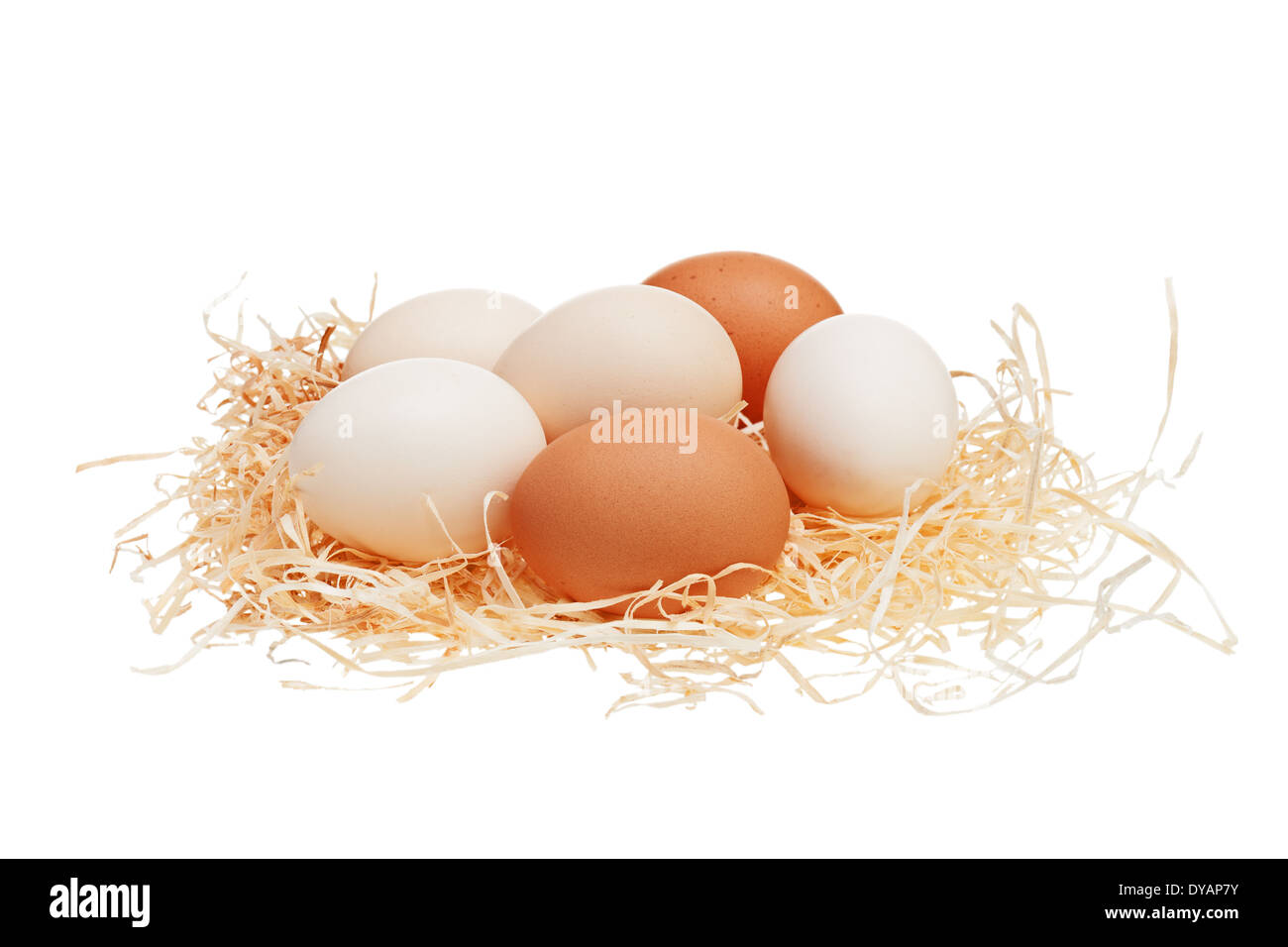 Eggs in straw nest isolated on white background Stock Photo - Alamy
