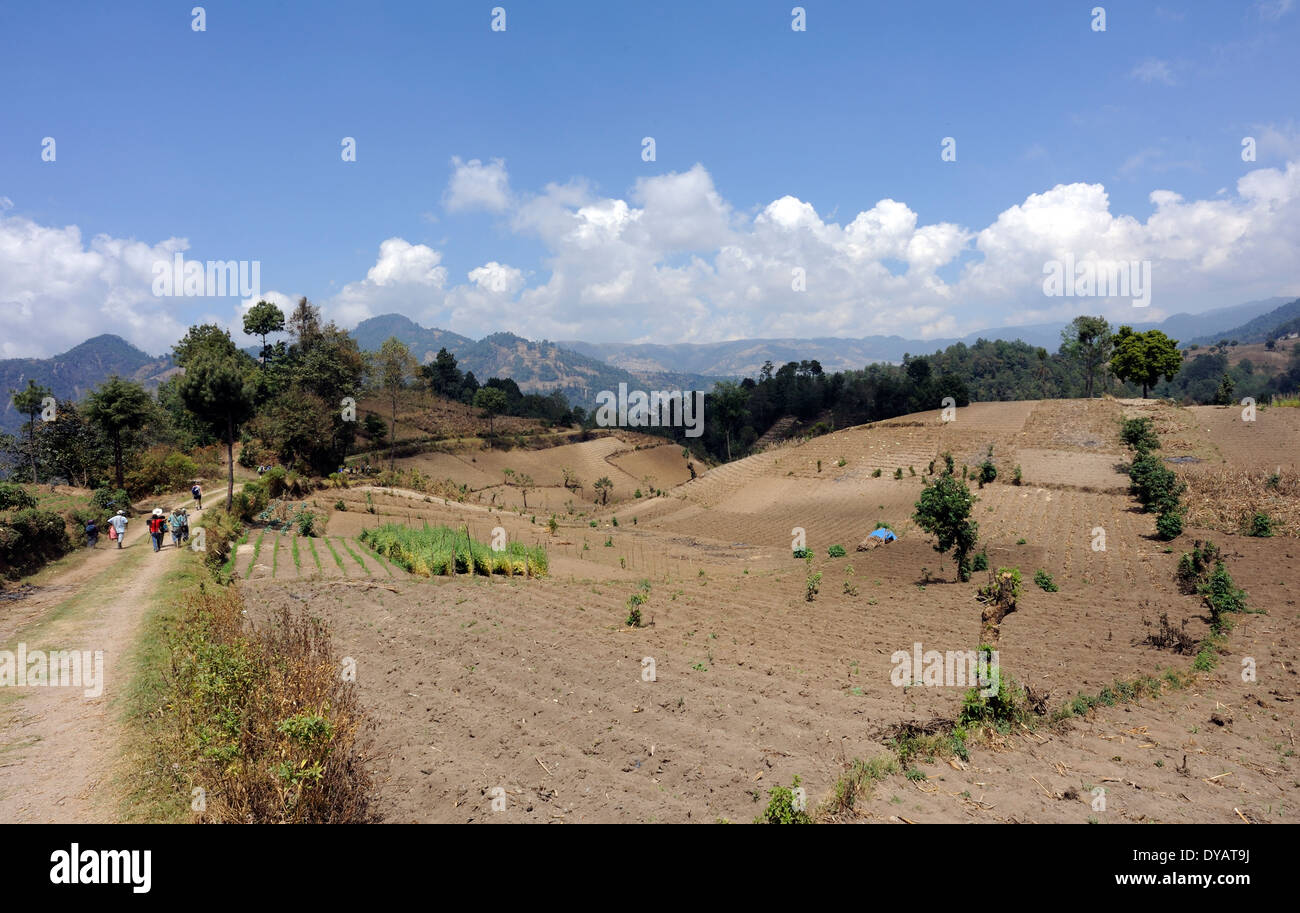 A field has been prepared and ridged ready for planting. Tzucuval, Departamente de Sololá, Republic of Guatamala Stock Photo