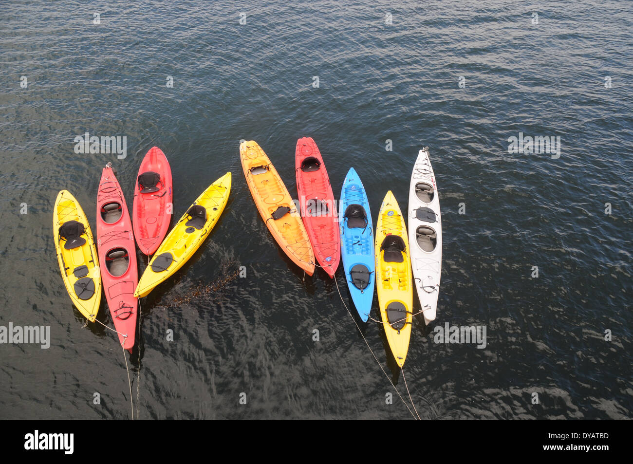 rental kayaks in water at santa cruz pier california Stock Photo