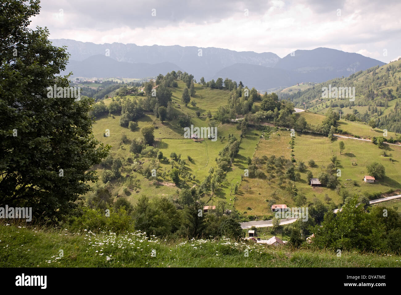 summer mountain beautiful rural landscape of Romanian Carpathians Stock Photo