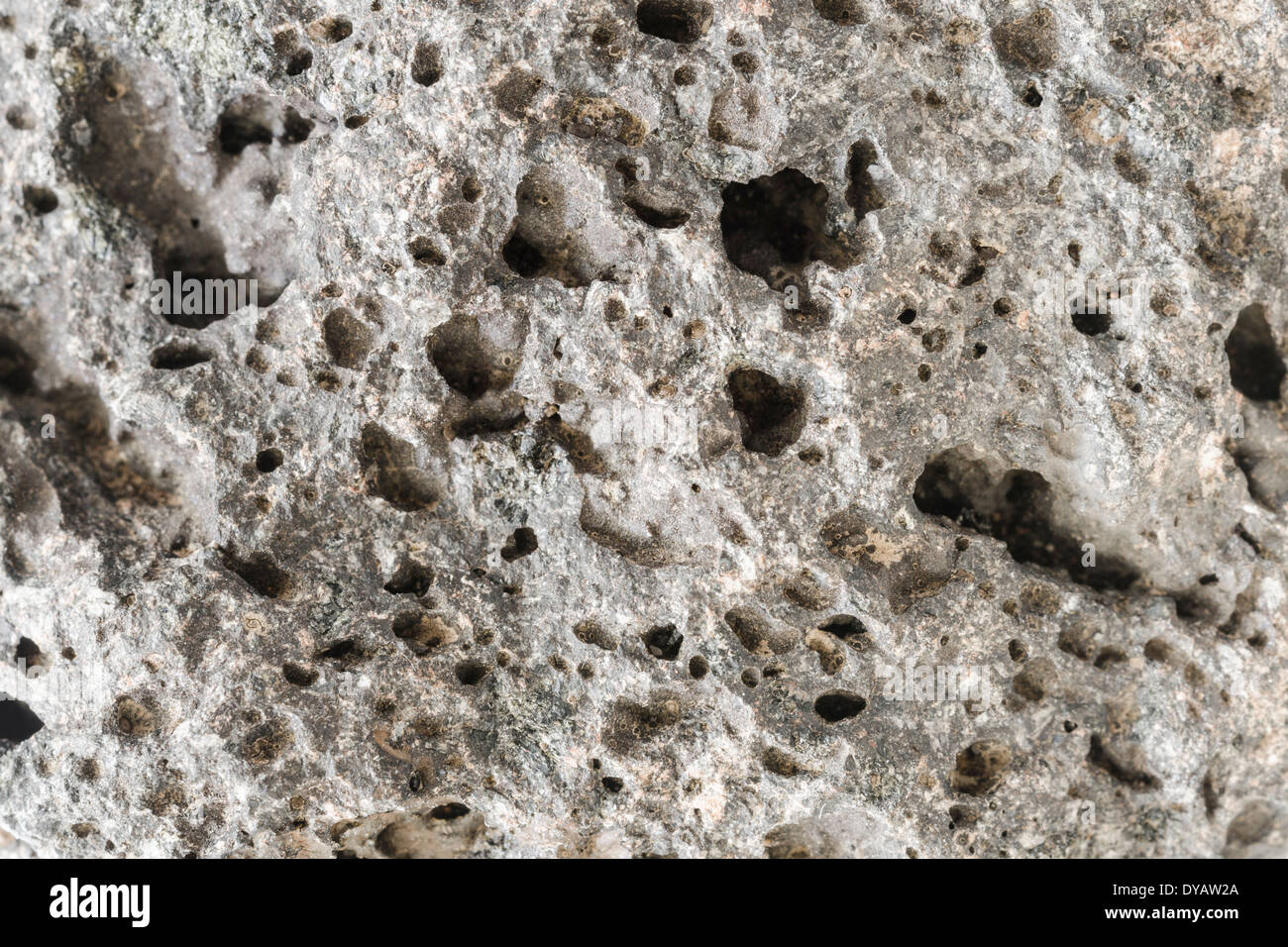 Pumice rough textured rock surface. Natural stone with freezes bubbles background. Stock Photo
