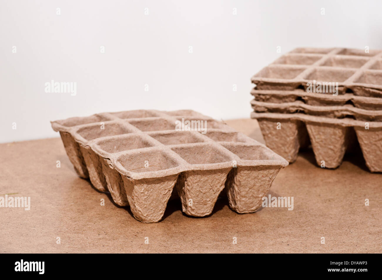 Biodegradable seed pot tray for planting plant seeds Stock Photo