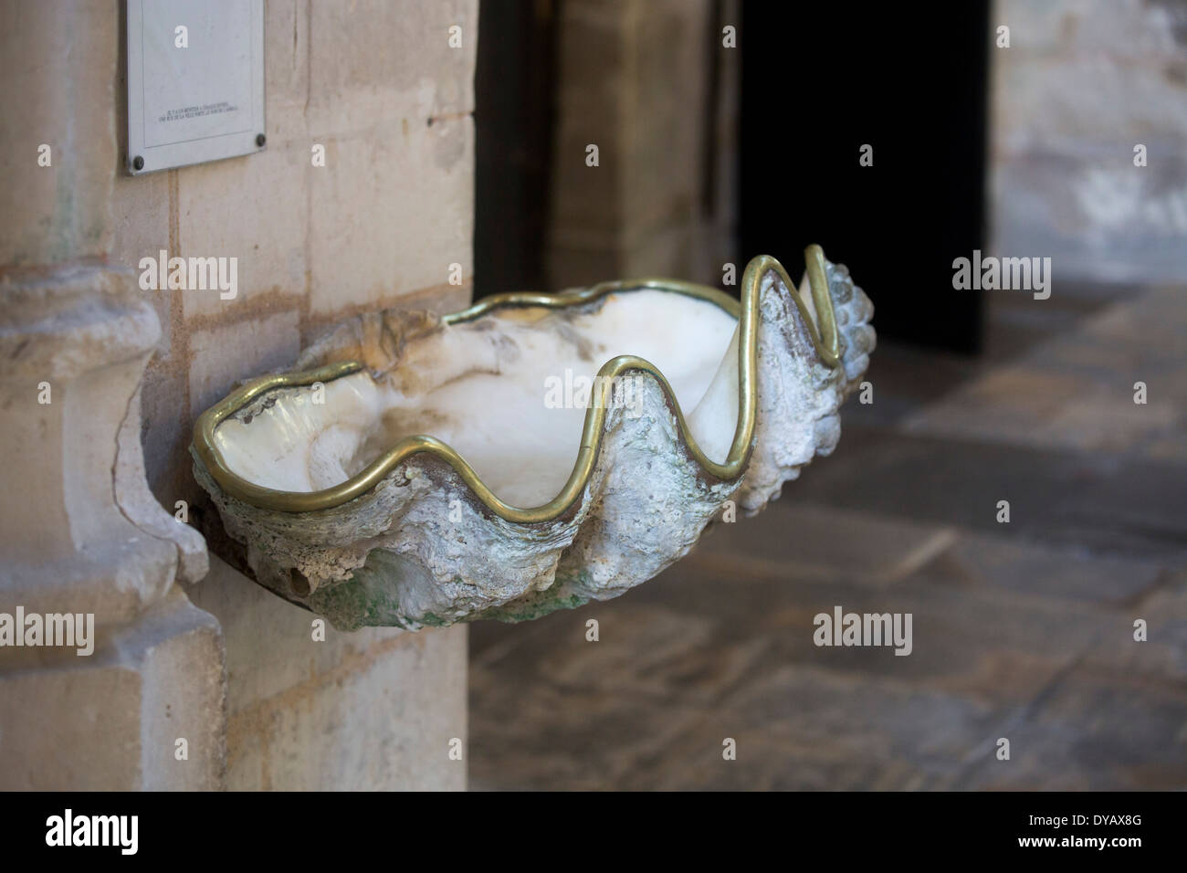 Giant clam oyster shell used as holy water font - Cathédrale Saint Pierre Saintes Stock Photo