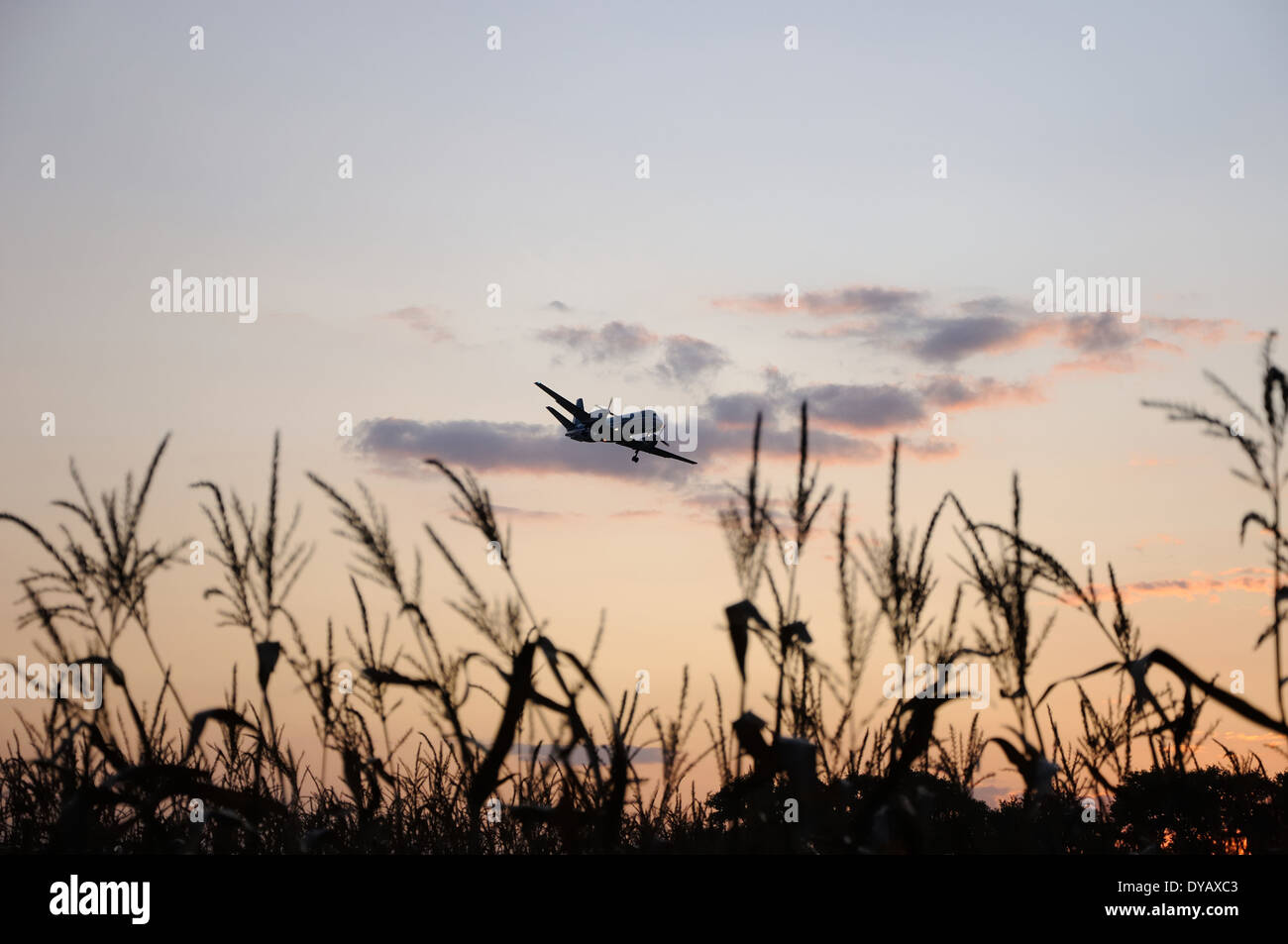 Airplane in bright evening sky above corn field Stock Photo