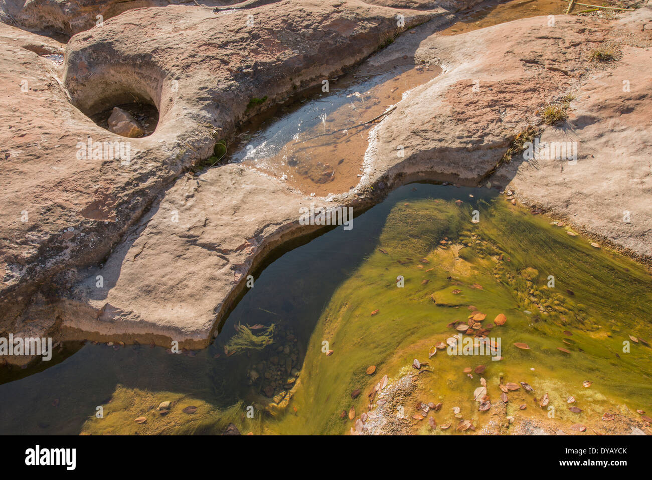 Rock pools carved by a creek harbouring filament algae and clean mountain water, Mura, Spain Stock Photo