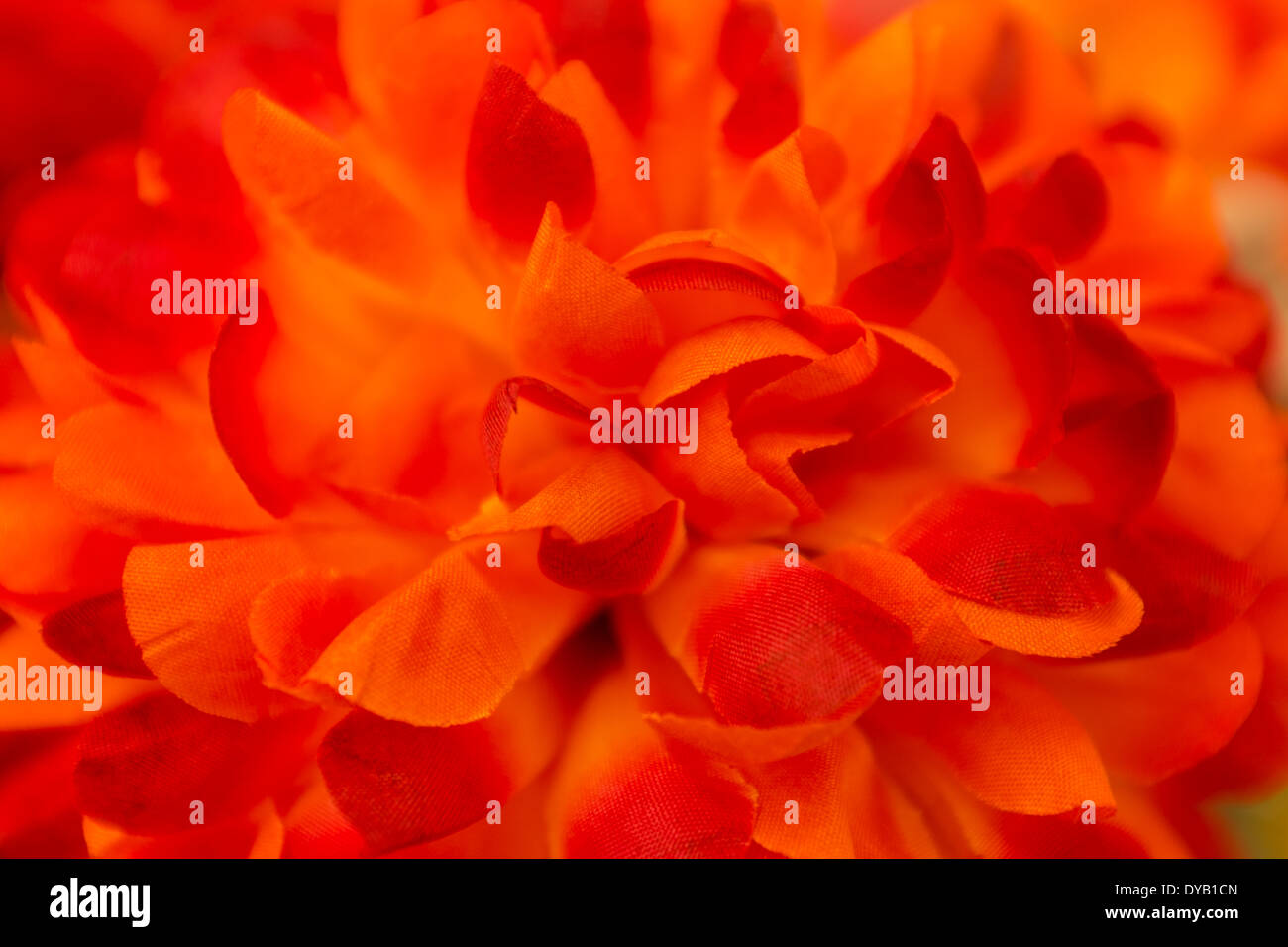 Macro shot of a bright orange cloth flower making an interesting background texture. Stock Photo