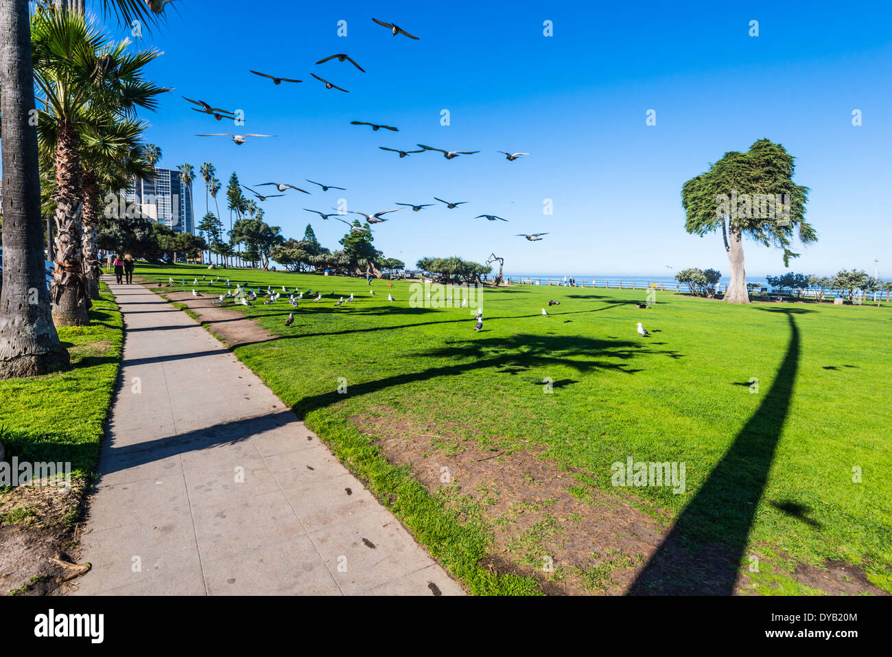 Ellen Browning Scripps Park. La Jolla, California, United States. Stock Photo