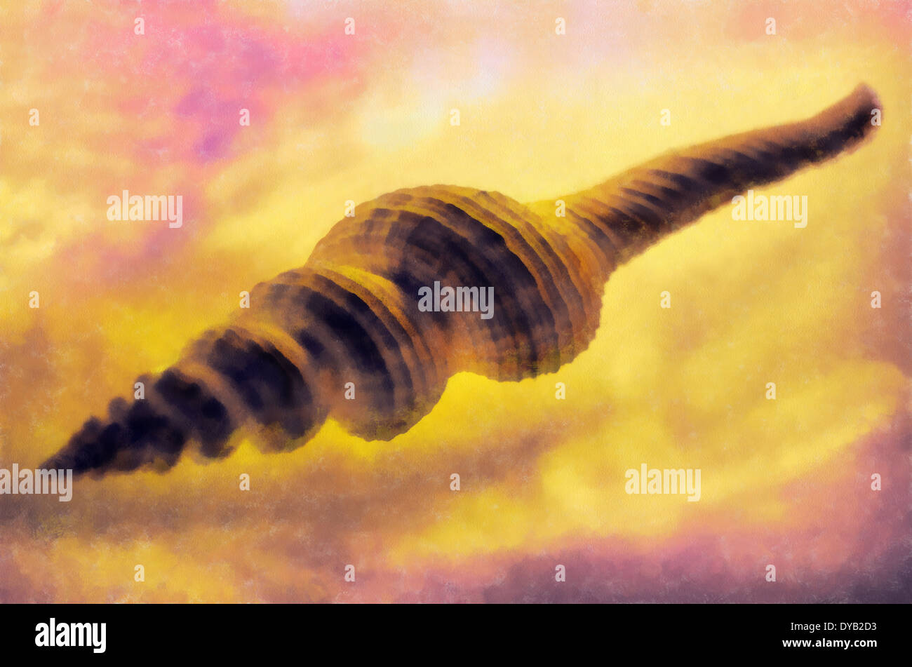 Mollusk shells external skeletal formation, covering the body most