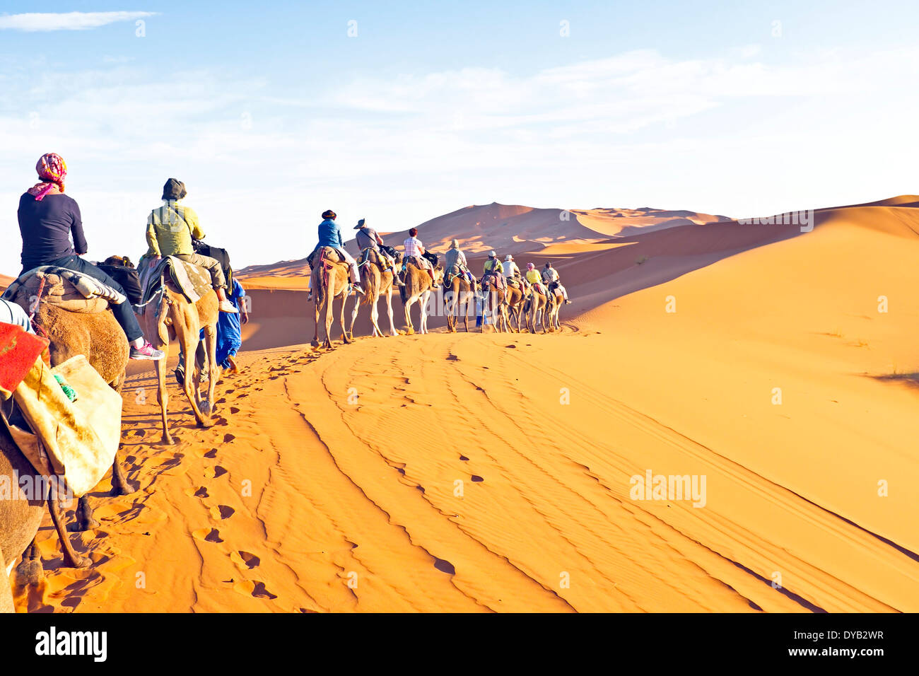 Camel caravan going through the sand dunes in the Sahara Stock Photo