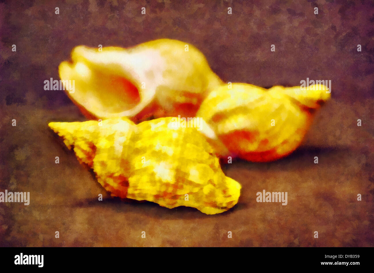 Mollusk shells external skeletal formation, covering the body most