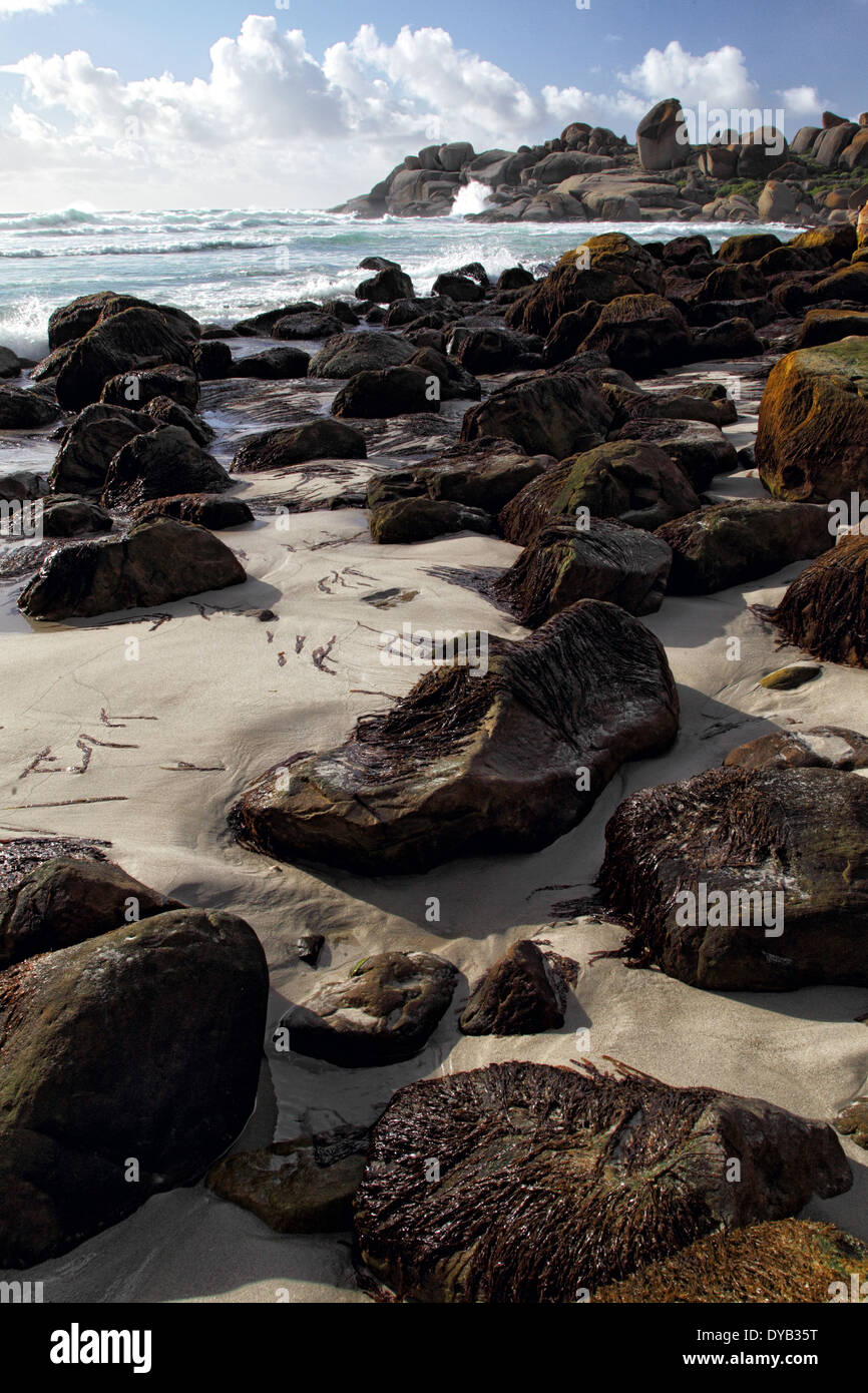 Beach of Llandudno, a suburb of Cape Town, South Africa Stock Photo Alamy