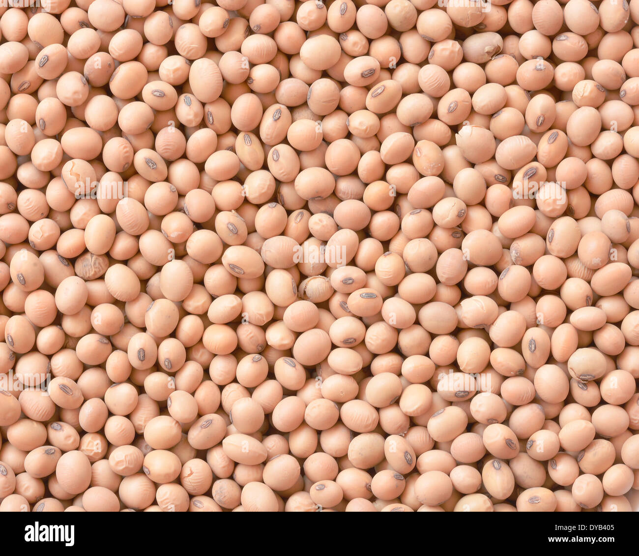 soy bean background Stock Photo