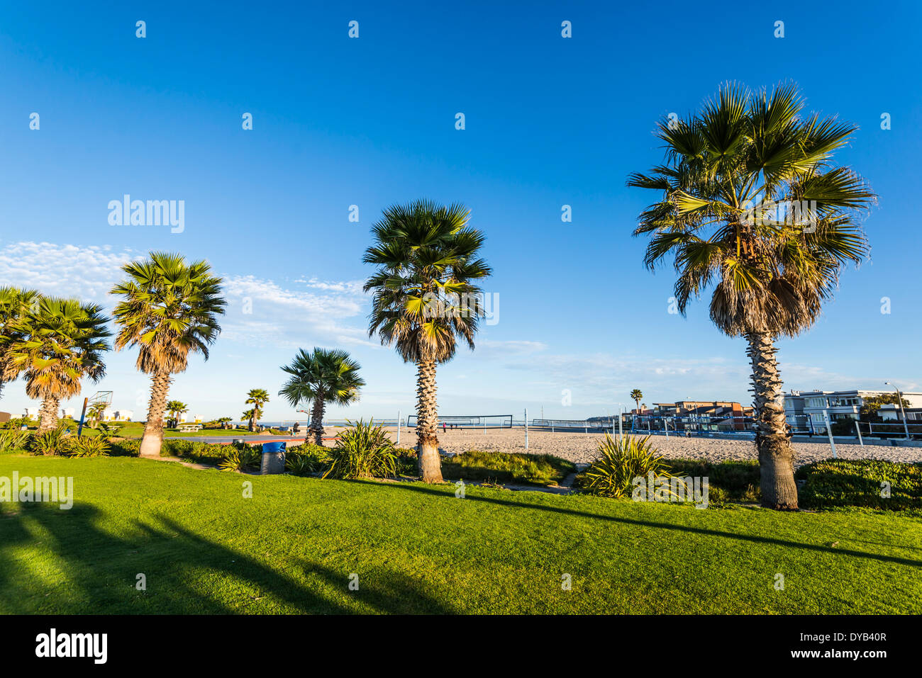 South Mission Beach Park. San Diego, California, United States Stock