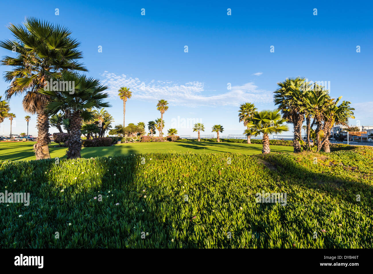 South Mission Beach Park. San Diego, California, United States. Stock Photo