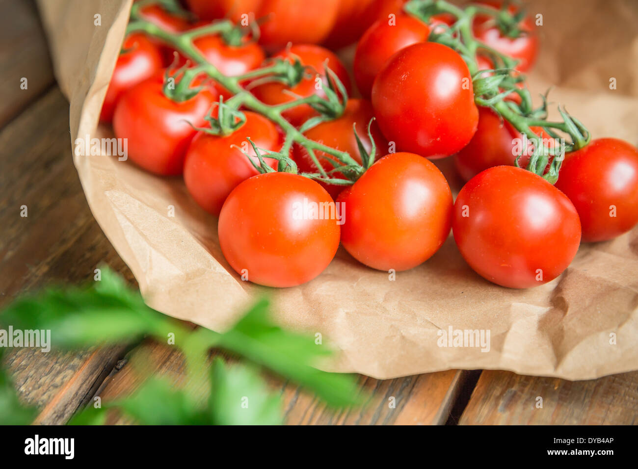 Vine tomatoes inside a paper bag Stock Photo Alamy