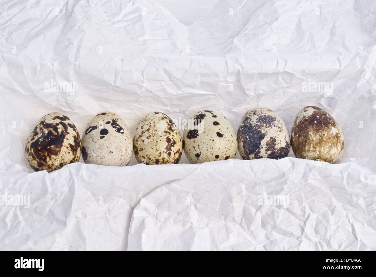 Quail eggs are small and colourful. They can be eaten raw or cooked