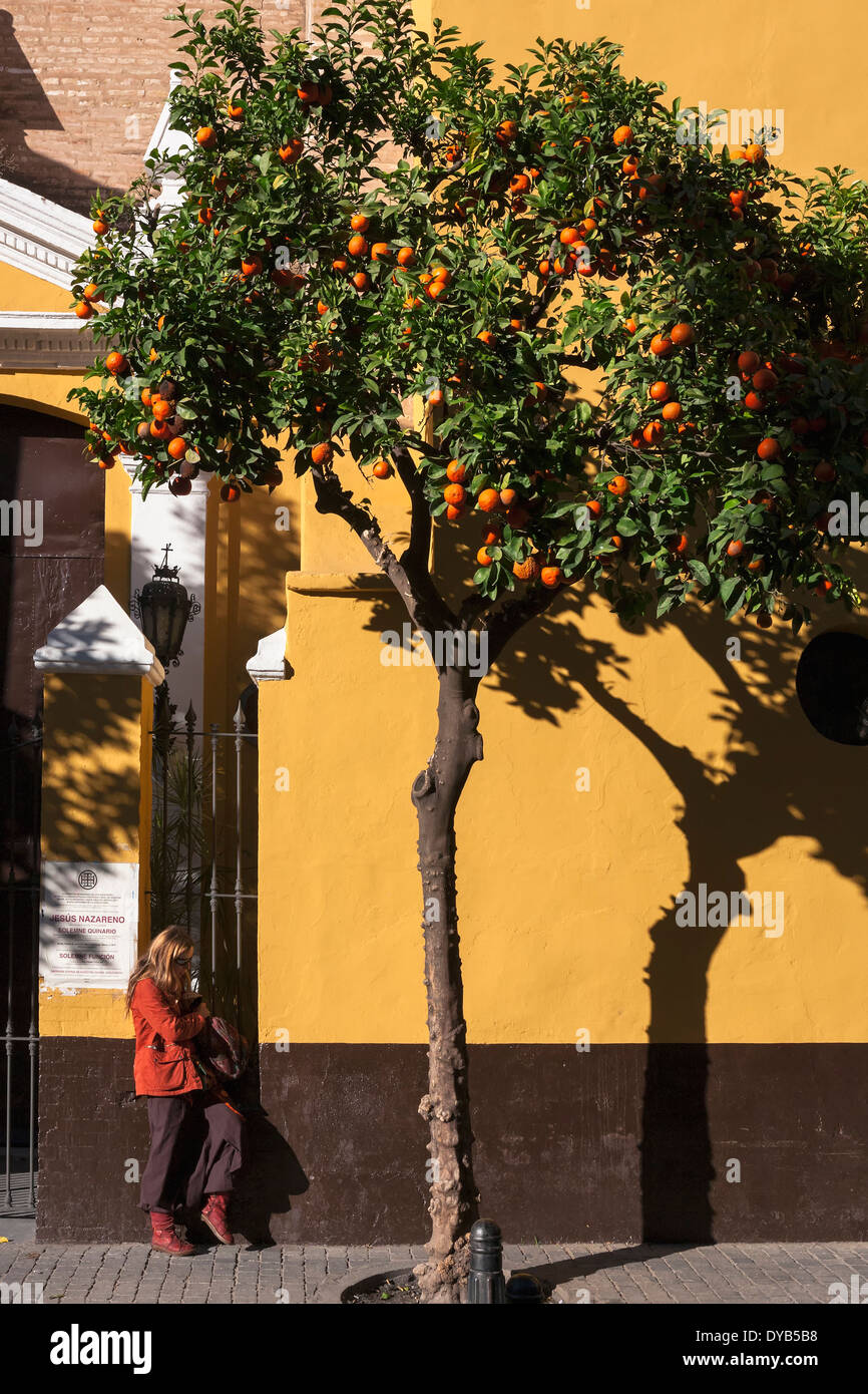 Orange tree and orange girl, Plaza de San Martín, Sevilla, Spain Stock Photo